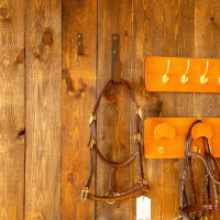 Grote Grooming Deluxe vloerhaak van Kentucky Zwart Grote Grooming Deluxe vloerhaak van Kentucky Zwart