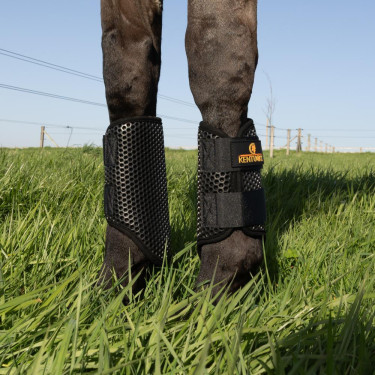 Gesloten ProAir-beschermers Kentucky Zwart