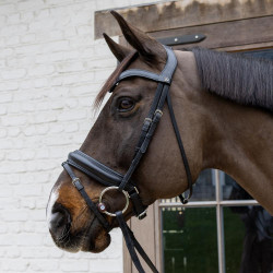 Flex Hard Velari watertrens met ringen Flex Hard Velari watertrens met ringen