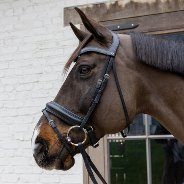 Flex Hard Velari watertrens met ringen Flex Hard Velari watertrens met ringen