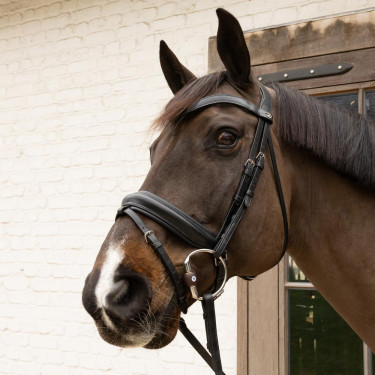 Olivenschakelbit Flex Hard Velari