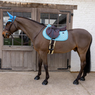 Zadelpad Velvet Pied-de-Poule Jumping Kentucky Marine / kleurig Blauw Zadelpad Velvet Pied-de-Poule Jumping Kentucky Marine / kleurig Blauw