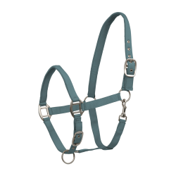 Halter Waldhausen Satin Groene speld