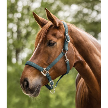 Halter Waldhausen Satin Groene speld