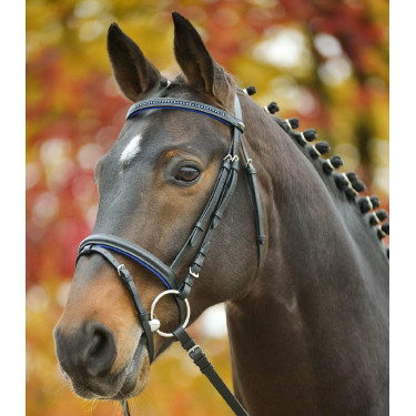 Bridon Star Diamond Blauw
