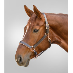 Roze leren halster Waldhausen X-Line Bruin
