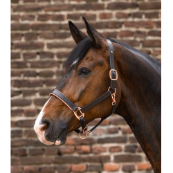 Roze leren halster Waldhausen X-Line Bruin