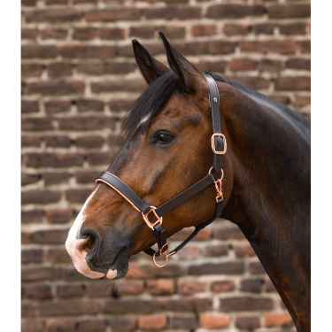 Roze leren halster Waldhausen X-Line Bruin