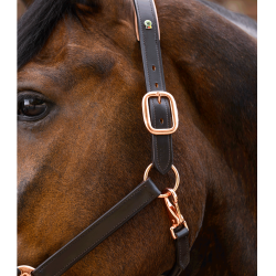 Roze leren halster Waldhausen X-Line Bruin