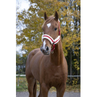 Norton Comfort halster Rood