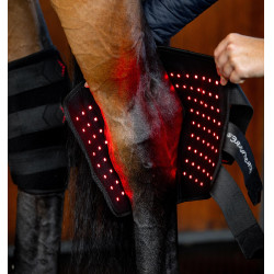 Horseware LED roodlicht therapeutische spronggewricsbeschermers Zwart / zwart