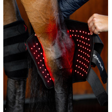 Horseware LED roodlicht therapeutische spronggewricsbeschermers Zwart / zwart