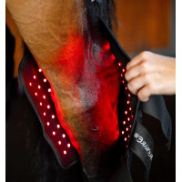 Horseware LED roodlicht therapeutische spronggewricsbeschermers Horseware LED roodlicht therapeutische spronggewricsbeschermers
