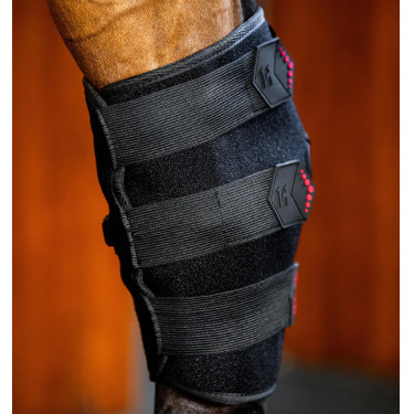 Horseware LED roodlicht therapeutische spronggewricsbeschermers Zwart / zwart
