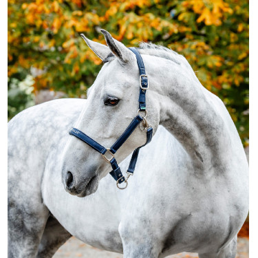 Horseware poetshalster Marine Marineblauw