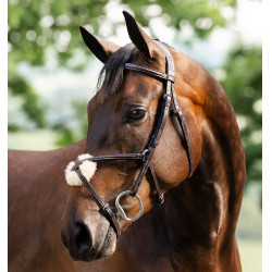 Grackle hoofdstel in 8-vorm Horseware gekruiste neusriem Bruin