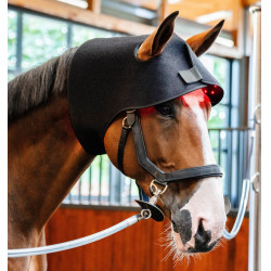 Roodlicht-LED-therapiebont Horseware Zwart / zwart
