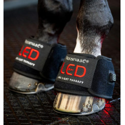 Mini therapeutische beenbeschermer van Horseware met rood LED-licht Zwart / zwart