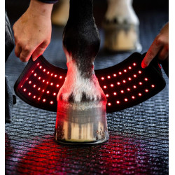Mini therapeutische beenbeschermer van Horseware met rood LED-licht Zwart / zwart