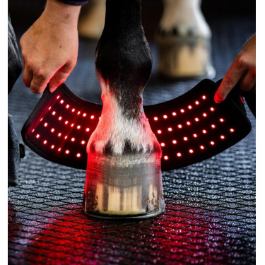 Mini therapeutische beenbeschermer van Horseware met rood LED-licht Zwart / zwart