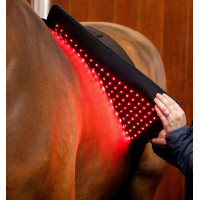 Horseware LED-lichttherapiedeken Zwart / zwart