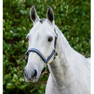 Horseware poetshalster Marine Marineblauw