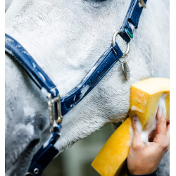 Horseware poetshalster Marine Marineblauw