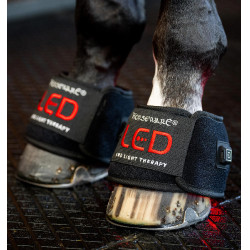 Mini therapeutische beenbeschermer van Horseware met rood LED-licht Zwart / zwart