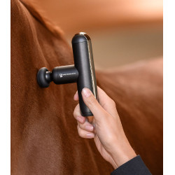 Waldhausen Health + care PocketRelax massageapparaat Zwart