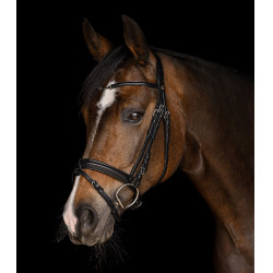 Waldhausen X-Line Charmbit hoofdstel Zwart