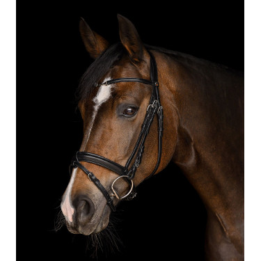 Waldhausen X-Line Charmbit hoofdstel Zwart