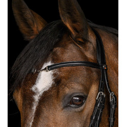 Waldhausen X-Line Charmbit hoofdstel Zwart