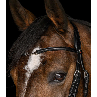 Waldhausen X-Line Charmbit hoofdstel Zwart