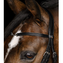 Waldhausen X-Line Charmbit hoofdstel Zwart