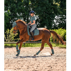 Waldhausen Air Performance dressuurbeschermers Groene speld Waldhausen Air Performance dressuurbeschermers Groene speld