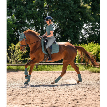 Waldhausen Air Performance dressuurbeschermers Groene speld Waldhausen Air Performance dressuurbeschermers Groene speld