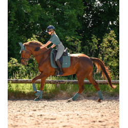 Waldhausen Air Performance dressuurbeschermers Groene speld Waldhausen Air Performance dressuurbeschermers Groene speld