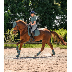 Waldhausen Air Performance dressuurbeschermers Groene speld Waldhausen Air Performance dressuurbeschermers Groene speld