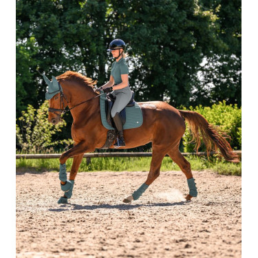 Waldhausen Air Performance dressuurbeschermers Groene speld Waldhausen Air Performance dressuurbeschermers Groene speld