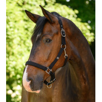 Halster Waldhausen Trinidad Zwart