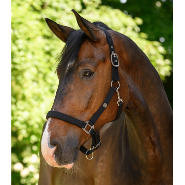 Halster Waldhausen Trinidad Zwart