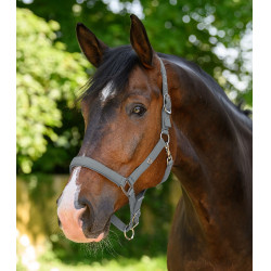 Halster Waldhausen Trinidad Chroomgrijs