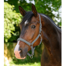 Halster Waldhausen Trinidad Chroomgrijs