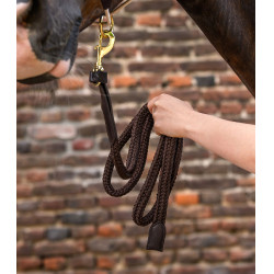 Waldhausen Royal longeerlijn met lederen details Bruin