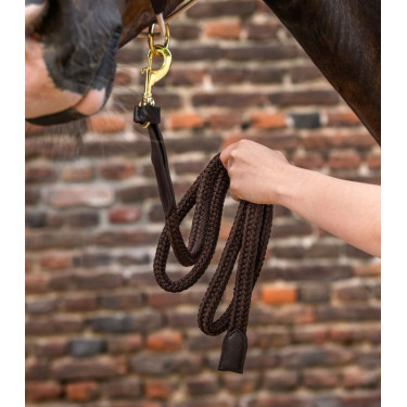 Waldhausen Royal longeerlijn met lederen details Bruin