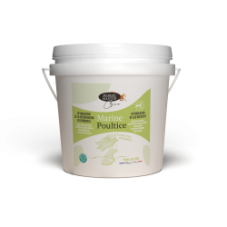 Marine Kleipasta Horse Master