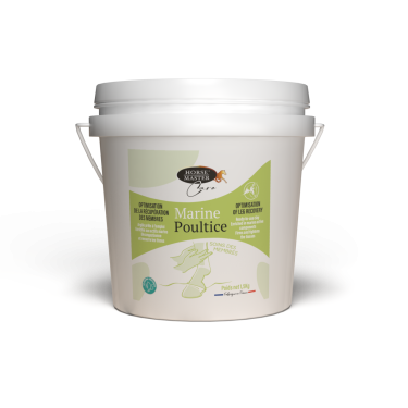 Marine Kleipasta Horse Master