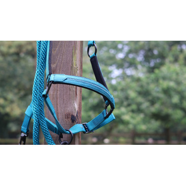 Longeerlijn Lami-Cell Charming Turkoois Blauw