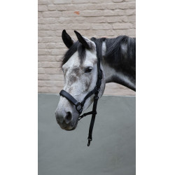 Halter Lami-Cell Flexicare Zwart