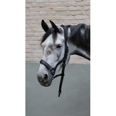 Halter Lami-Cell Flexicare Zwart